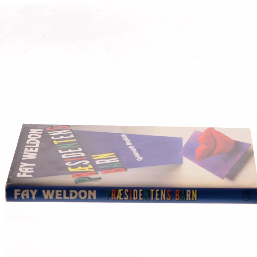 Præsidentens barn af Fay Weldon (Bog)
