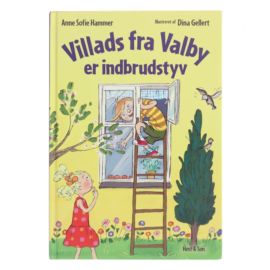 Villads fra Valby er indbrudstyv af Anne Sofie Hammer (Bog)