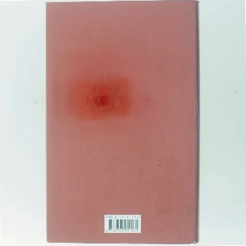 Indtil jeg finder dig af John Irving (Bog)