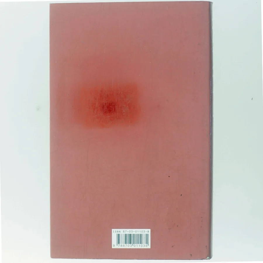 Indtil jeg finder dig af John Irving (Bog)