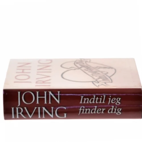 Indtil jeg finder dig af John Irving (Bog)