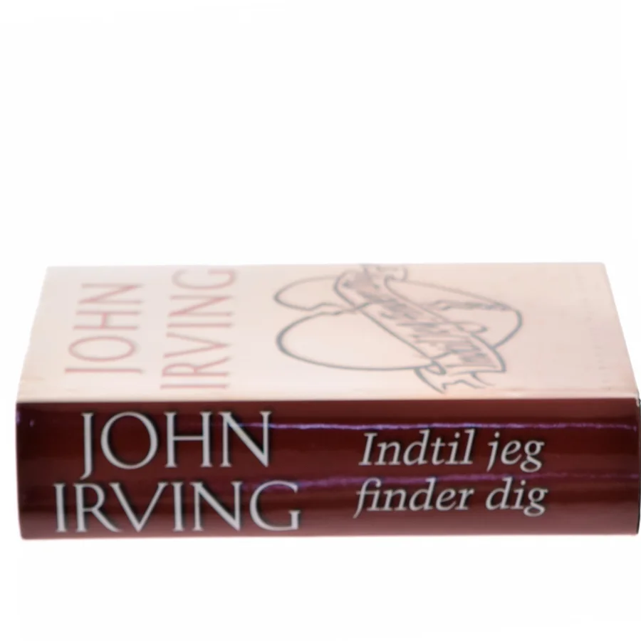 Indtil jeg finder dig af John Irving (Bog)