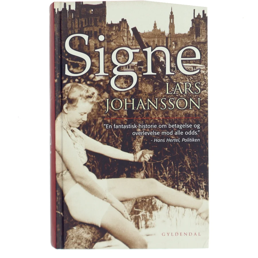 Signe : roman af Lars Johansson (f. 1949) (Bog)