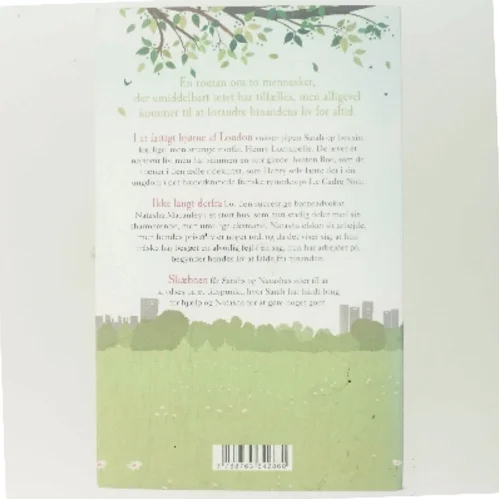 Det store spring af Jojo Moyes (Bog)