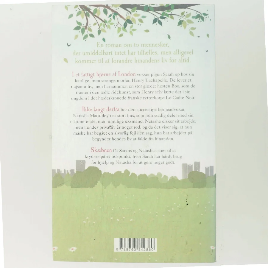 Det store spring af Jojo Moyes (Bog)