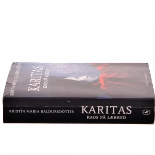 Karitas - kaos på lærred : roman (Læsekredssæt) af Kristín Marja Baldursdóttir (Bog)