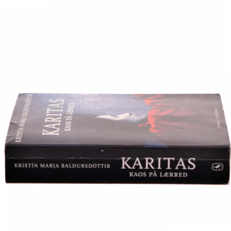 Karitas - kaos på lærred : roman (Læsekredssæt) af Kristín Marja Baldursdóttir (Bog)
