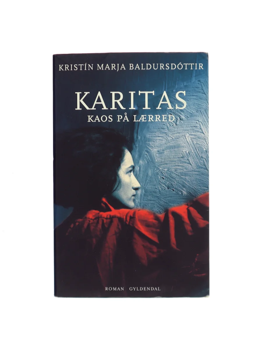 Forsiden af Karitas - kaos på lærred : roman (Læsekredssæt) af Kristín Marja Baldursdóttir
