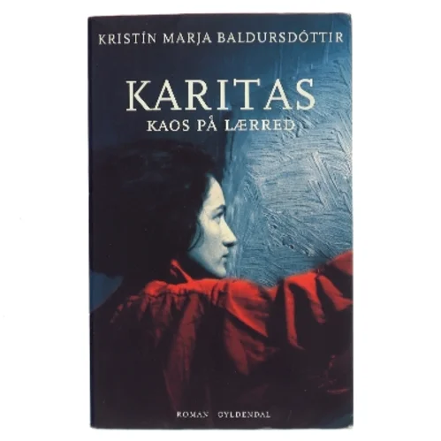 Karitas - kaos på lærred : roman (Læsekredssæt) af Kristín Marja Baldursdóttir (Bog)