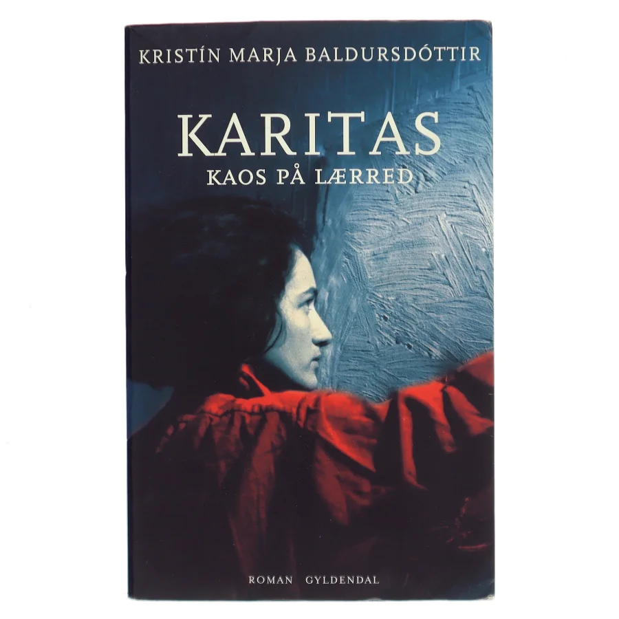 Karitas - kaos på lærred : roman (Læsekredssæt) af Kristín Marja Baldursdóttir (Bog)
