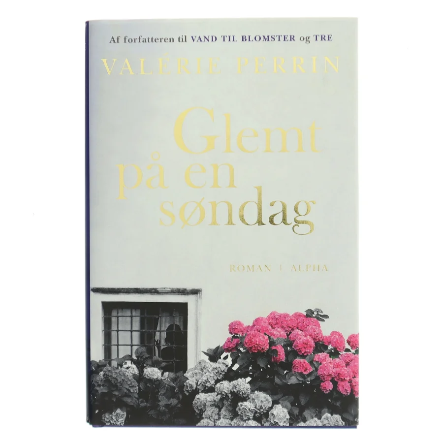 Glemt på en søndag af Valérie Perrin (Bog)