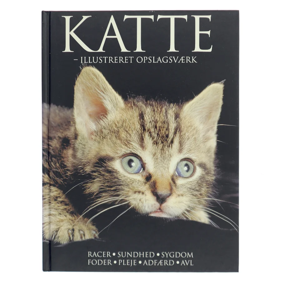 Katte : illustreret opslagsværk af Lin Esposito (Bog)