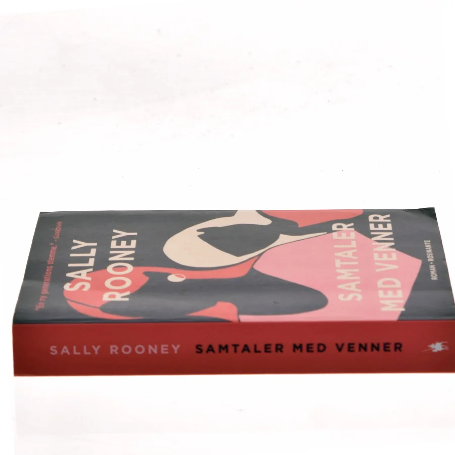 Samtaler med venner : roman af Sally Rooney (f. 1991) (Bog)