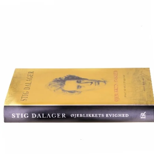 Øjeblikkets evighed : roman om Søren Kierkegaard af Stig Dalager (Bog)