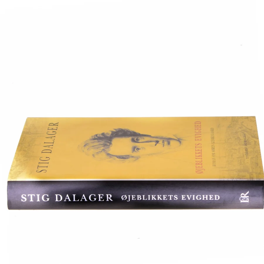 Øjeblikkets evighed : roman om Søren Kierkegaard af Stig Dalager (Bog)