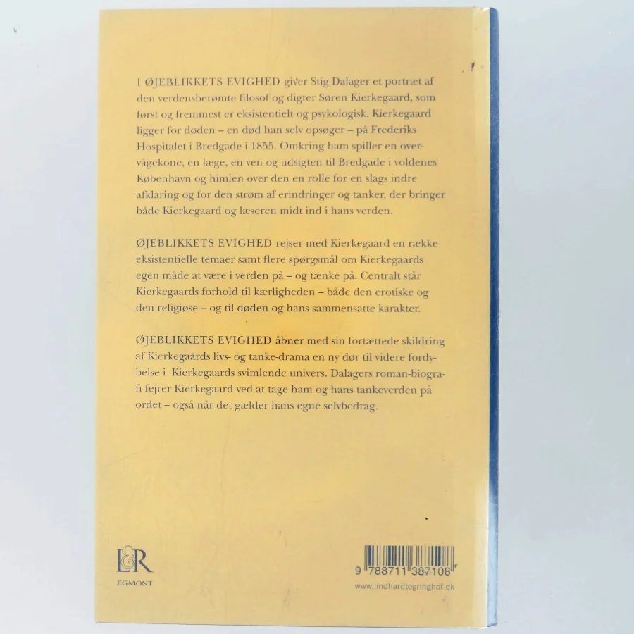 Øjeblikkets evighed : roman om Søren Kierkegaard af Stig Dalager (Bog)
