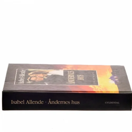 Åndernes hus : roman af Isabel Allende (Bog)