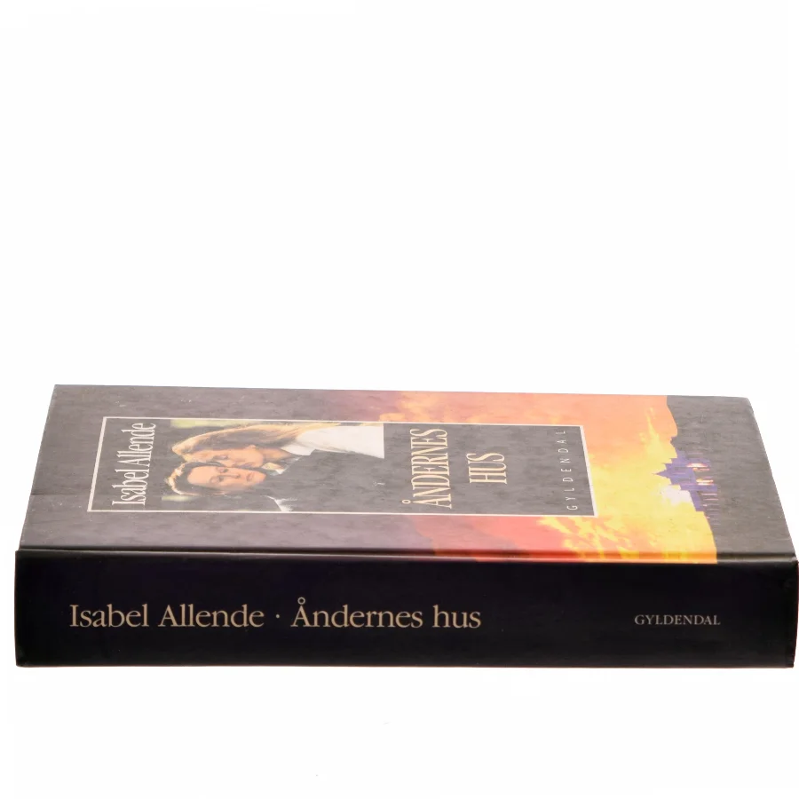 Åndernes hus : roman af Isabel Allende (Bog)