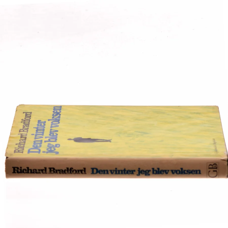 Den vinter jeg blev voksen af Richard Bradford (Bog)