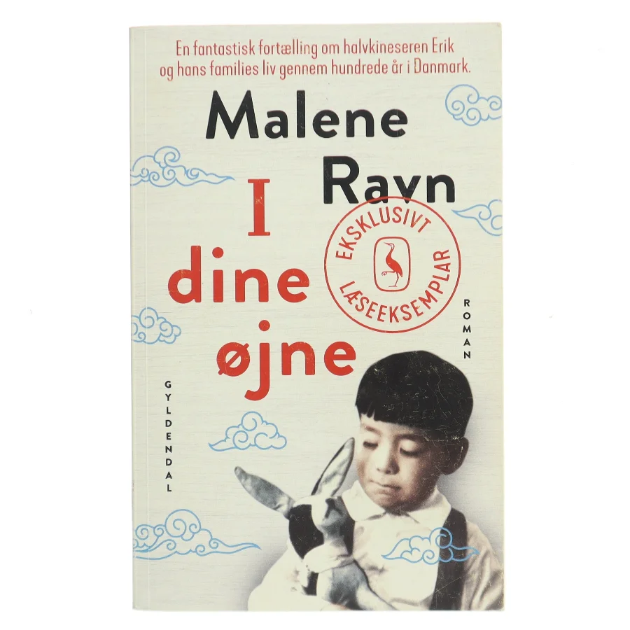 I dine øjne af Malene Ravn (Bog)