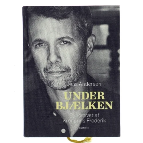 Under bjælken af Jens Andersen (f. 1955) (Bog)