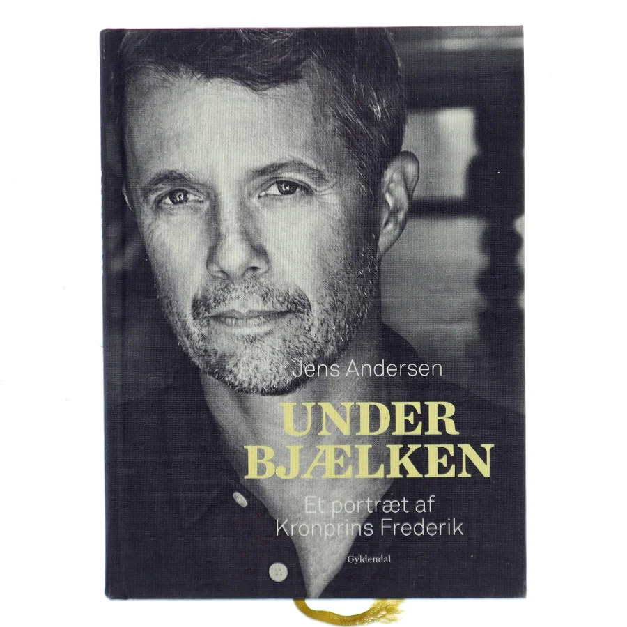 Under bjælken af Jens Andersen (f. 1955) (Bog)