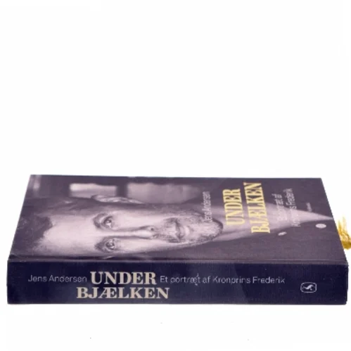 Under bjælken af Jens Andersen (f. 1955) (Bog)