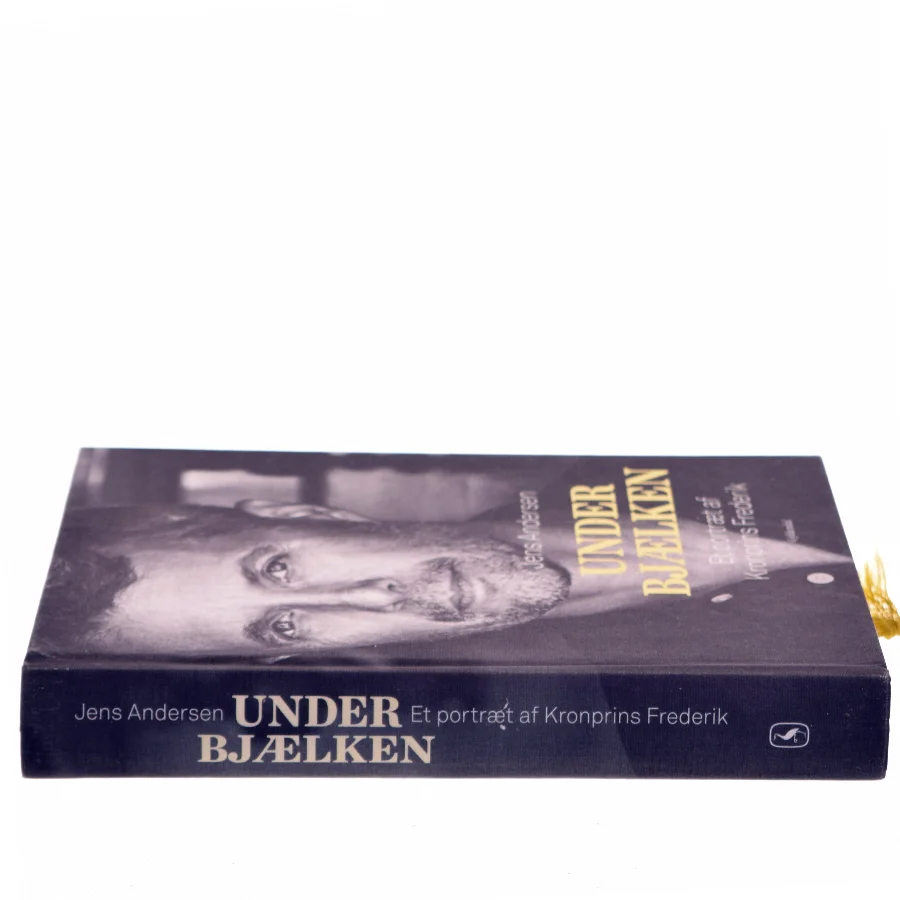 Under bjælken af Jens Andersen (f. 1955) (Bog)