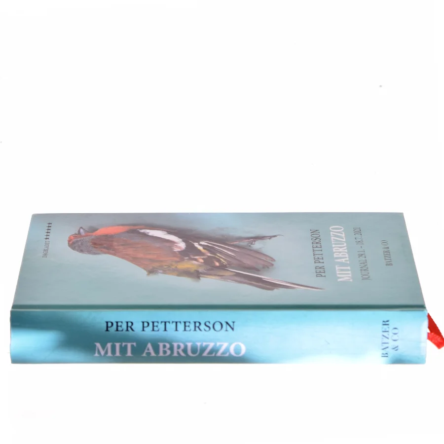 Mit Abruzzo : journal 29.1-18.7. 2021 af Per Petterson (Bog)