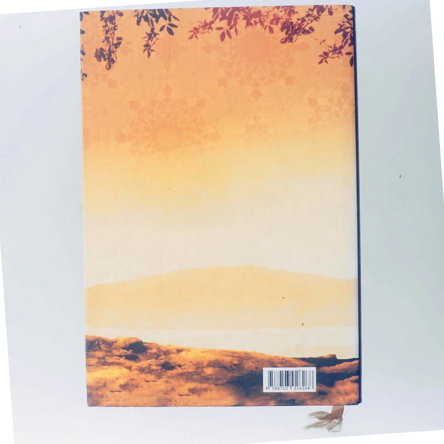 Under en strålende sol af Khaled Hosseini (Bog)