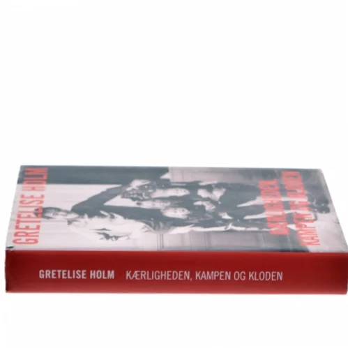 Kærligheden, kampen og kloden af Gretelise Holm (Bog)