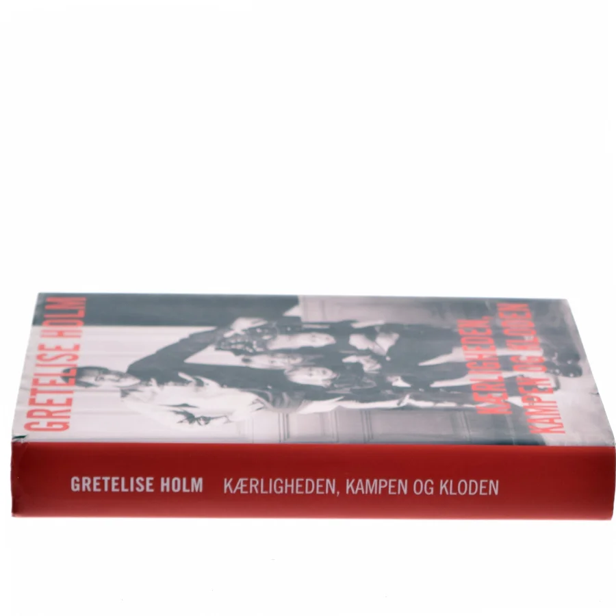 Kærligheden, kampen og kloden af Gretelise Holm (Bog)