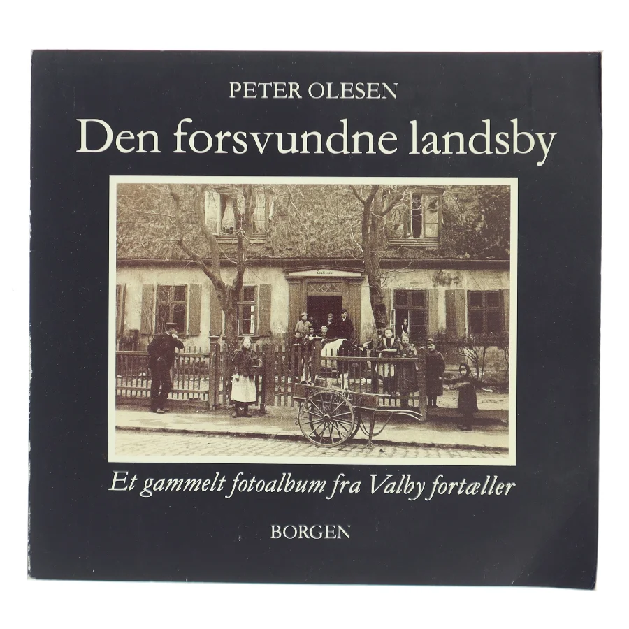 Den forsvundne landsby af Peter Olesen (Bog)