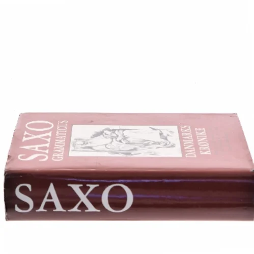 Danmarks krønike af Saxo Grammaticus (Bog)