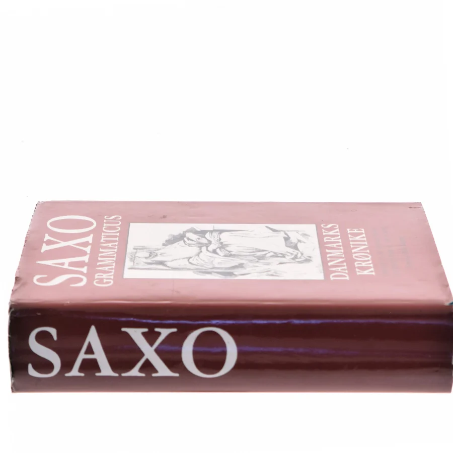 Danmarks krønike af Saxo Grammaticus (Bog)