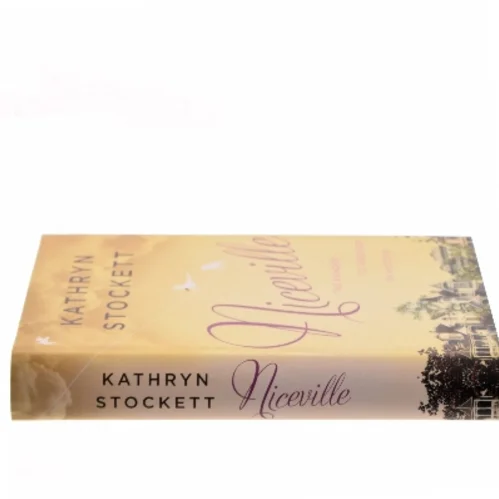 Niceville af Kathryn Stockett (Bog)