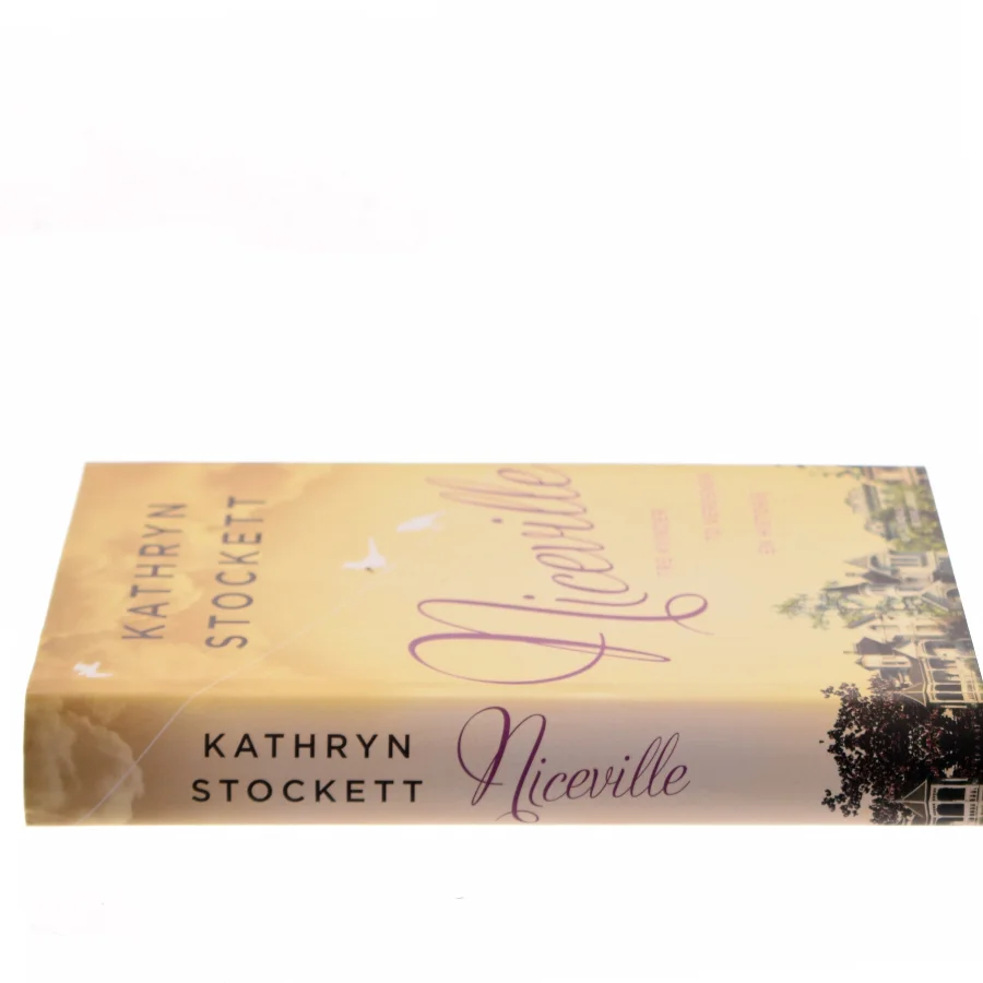 Niceville af Kathryn Stockett (Bog)