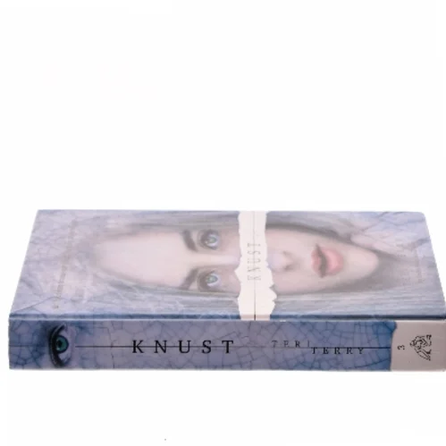 Knust af Teri Terry (Bog)
