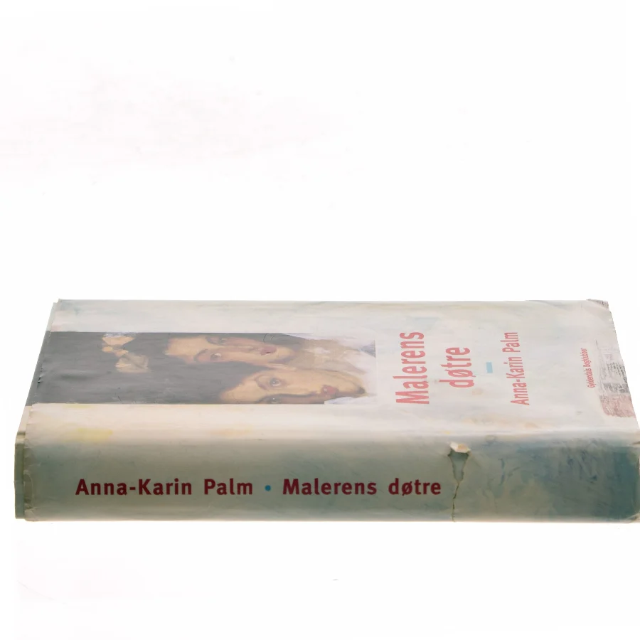 Malerens døtre af Anna-Karin Palm (Bog)