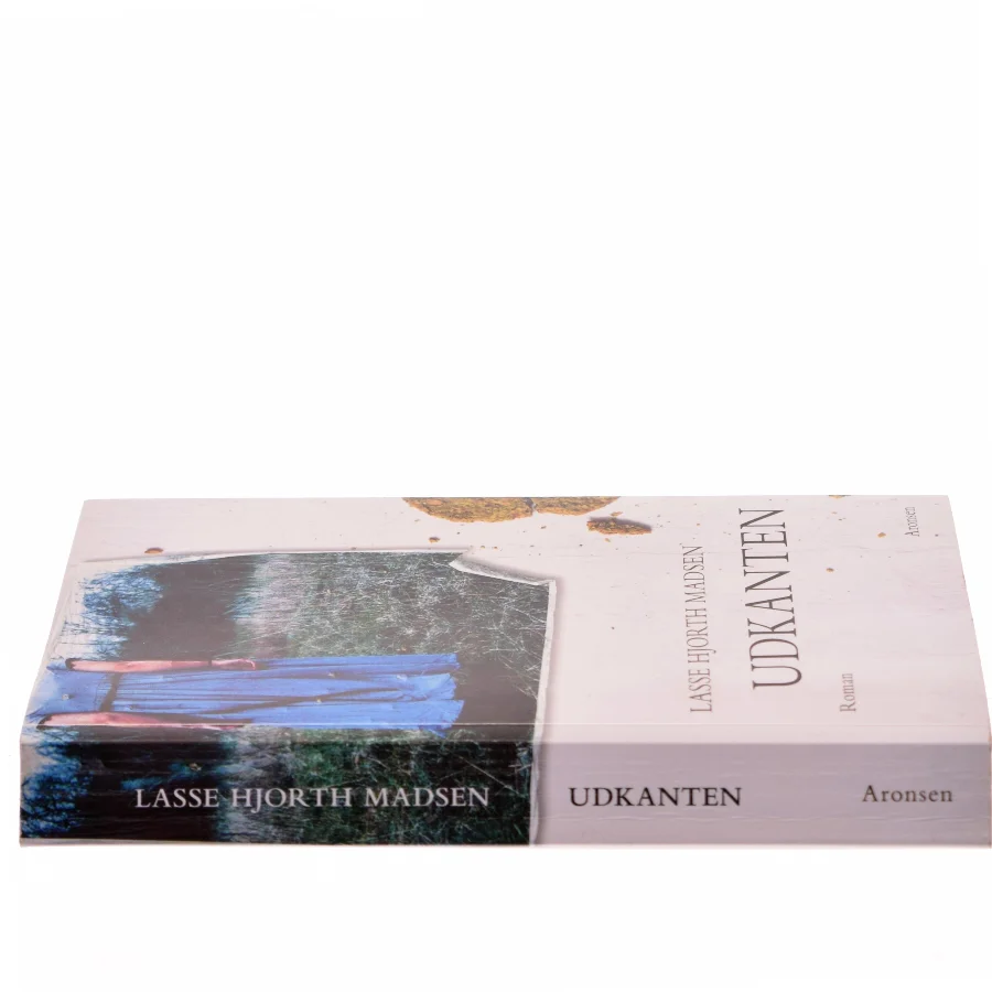 Udkanten : roman af Lasse Hjorth Madsen (Bog)