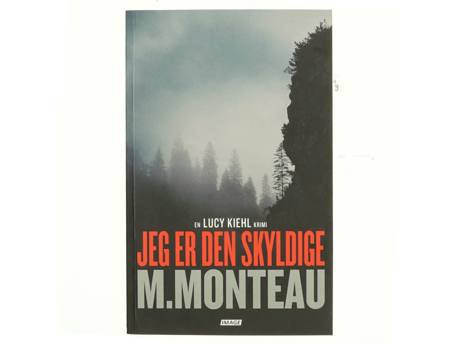 Jeg er den skyldige : krimi af Marianne Monteau (f. 1965) (Bog)