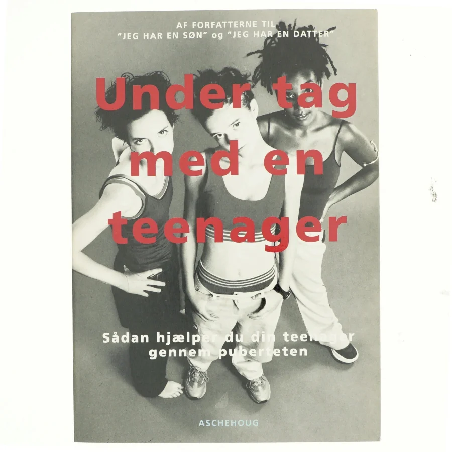 Under tag med en teenager (Bog)