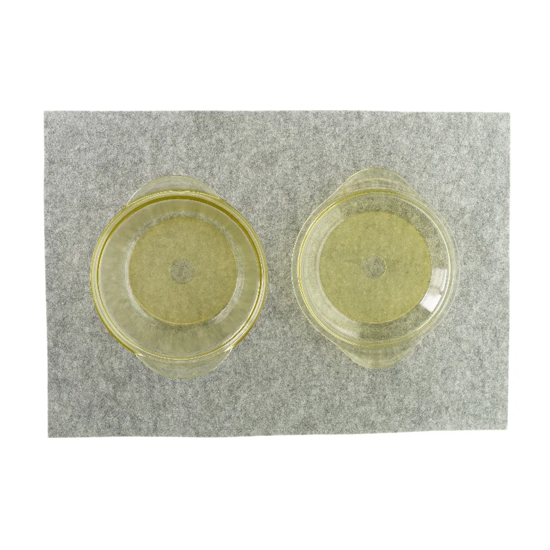 Skål med låg i glas fra Therm Jena 