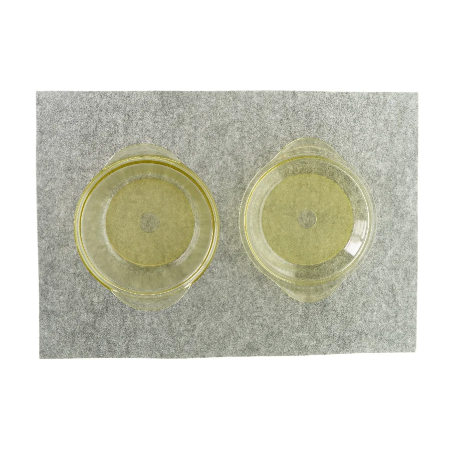 Skål med låg i glas fra Therm Jena 