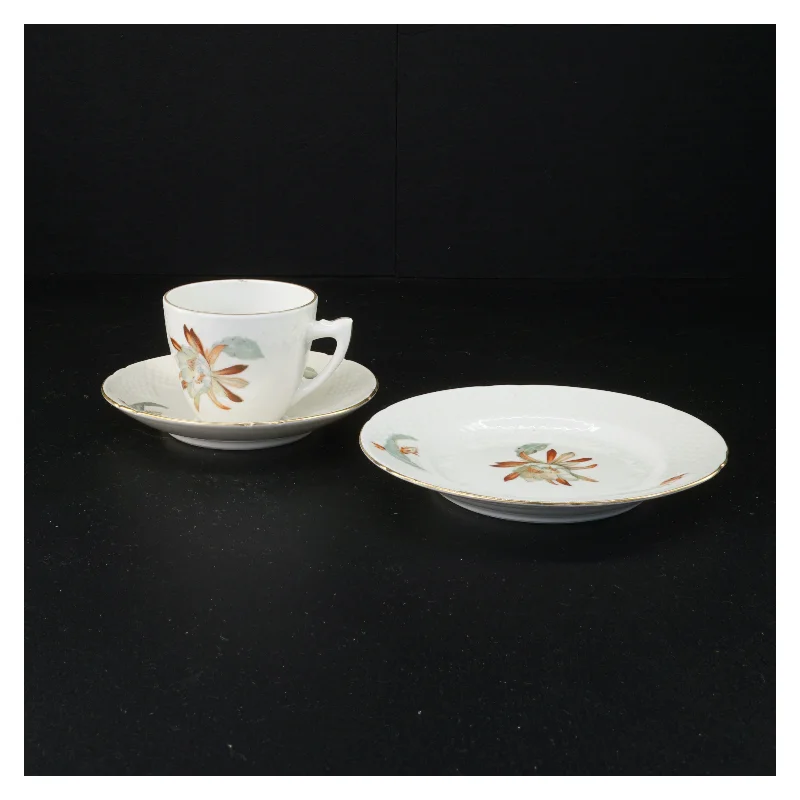 Porcelænskaffesæt med blomsterdekor fra Bing Og Grøndahl (str. 16 x 9 cm)