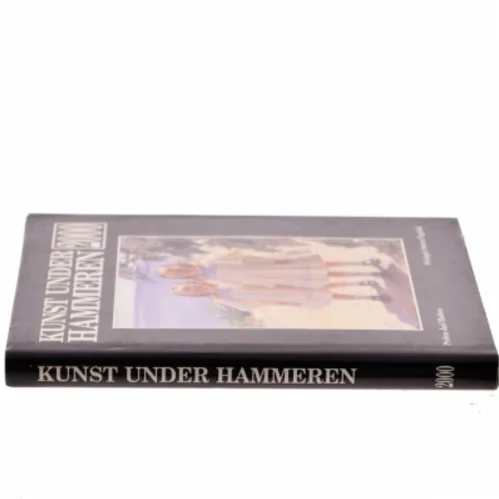 Kunst Under Hammeren 2000 af Preben Juul Madsen (Bog) fra Forlaget Søren Fogtdal