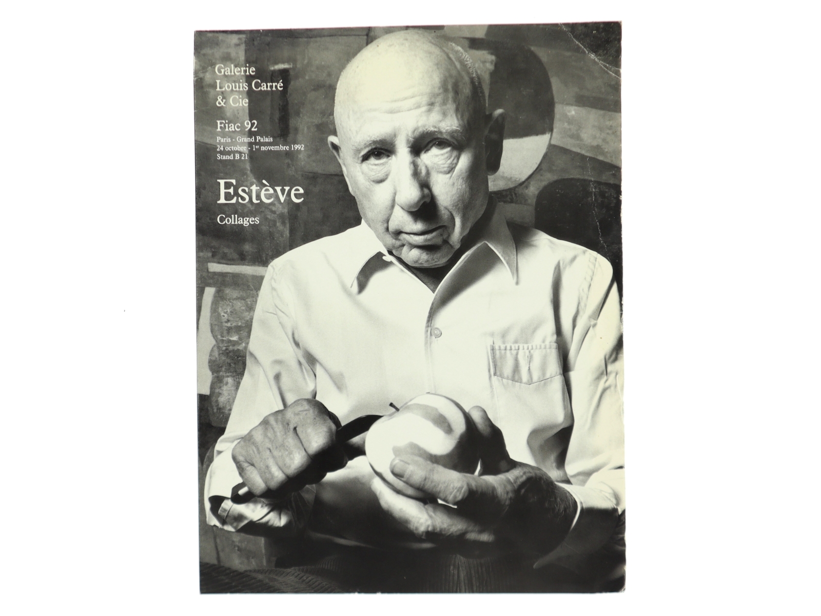 Estève Collages (Bog)