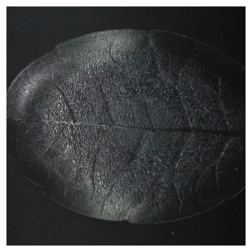 Dekorativt bladformet fad (str. 36x26 cm)