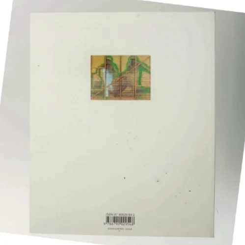 Sigmar Polke - alkymist af Michael Juul Holm (Bog)