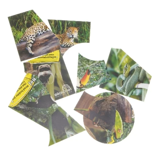 Billeder med dyremotiver